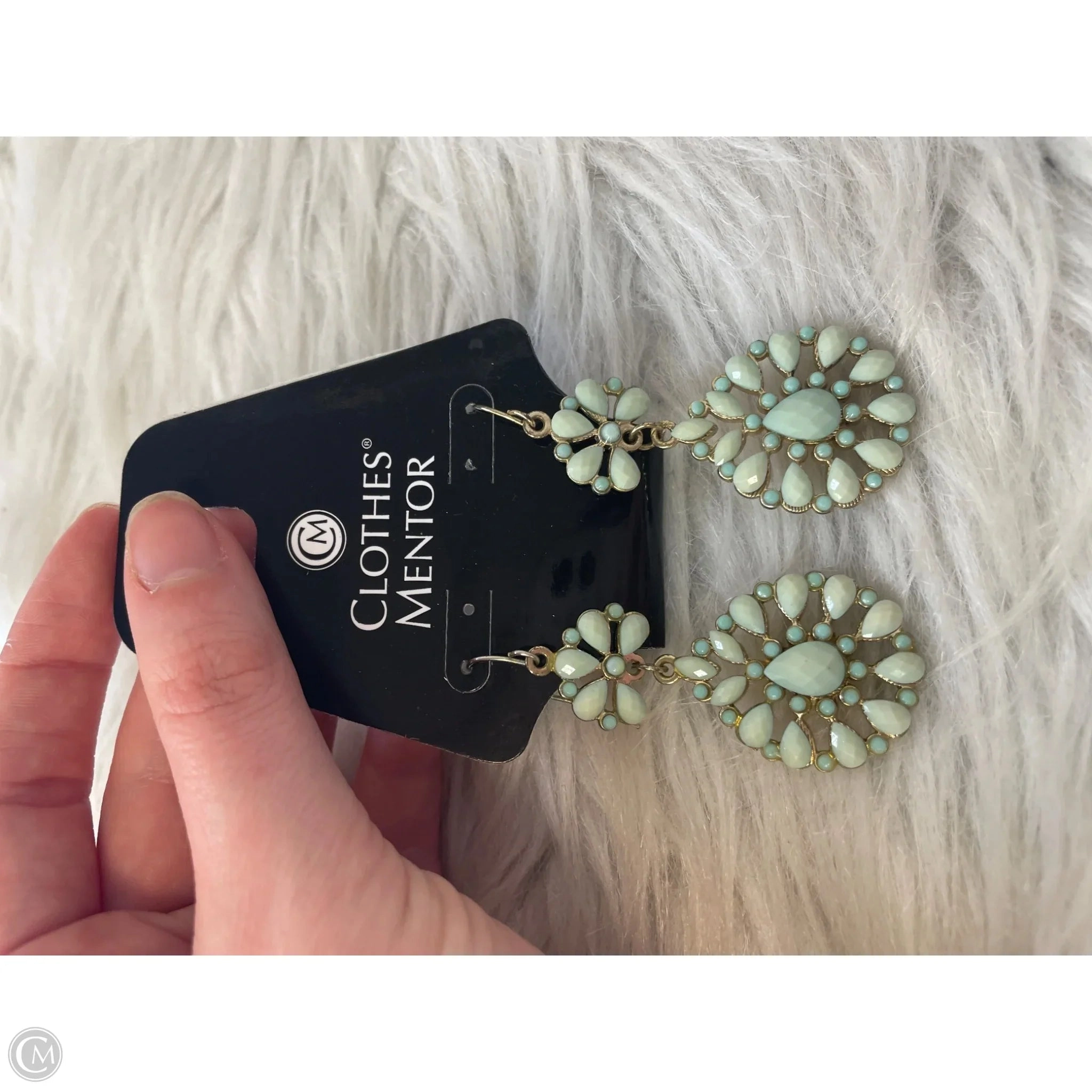 Earrings Dangle/drop By Clothes Mentor