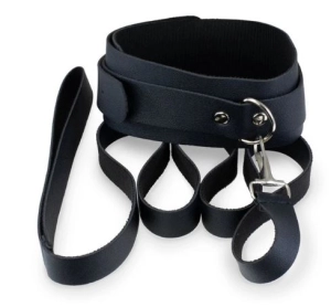 Kink curious collar & leash set