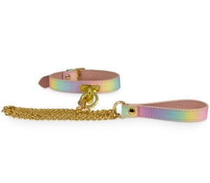 Kink dreamland leash & collar