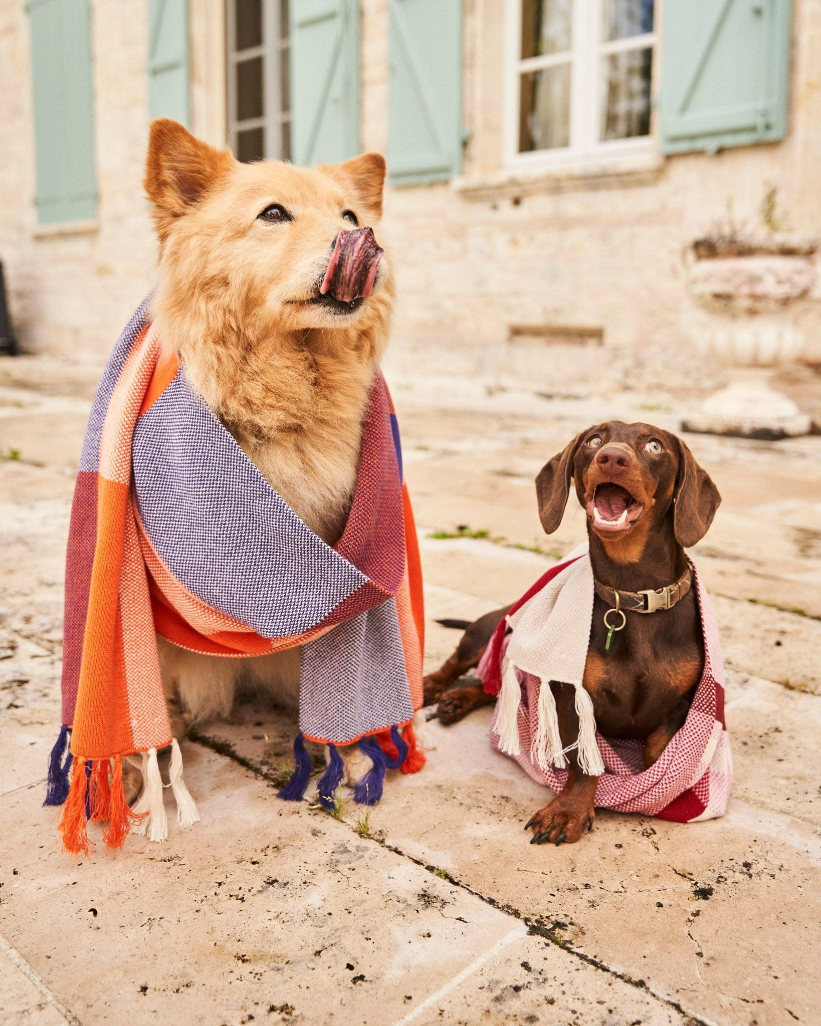 Meridian Organic Cotton Scarf | Mandarin