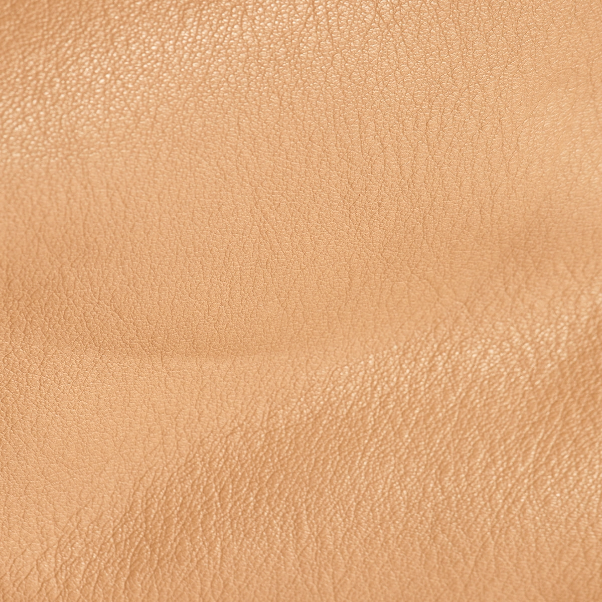 Oliver Zip | Toast Tan/Brushed Gold