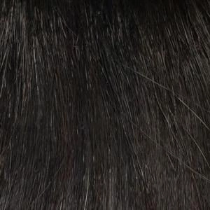 Olivia Wig by Envy | Human Hair Blend (Capless)