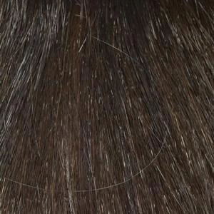 Olivia Wig by Envy | Human Hair Blend (Capless)