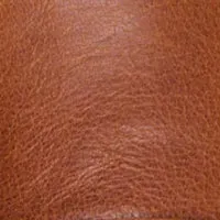 The Penny Loafer